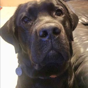 Meet your Posher, Laura